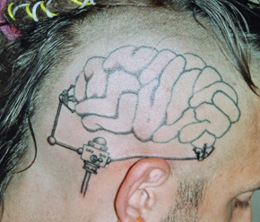 cerveau