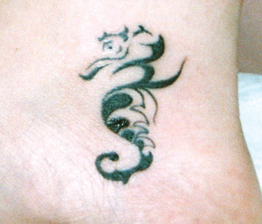 hippocampe tribal