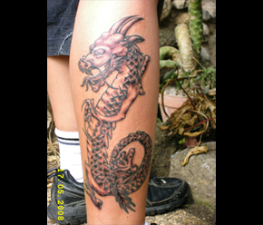 dragon vanessa